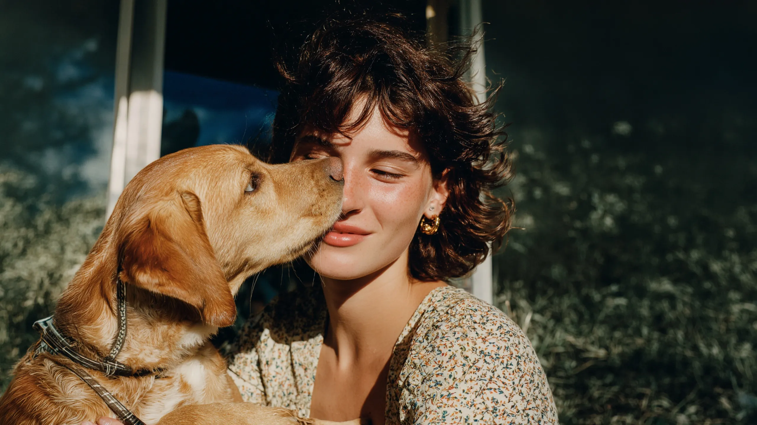 A golden retriever nuzzling its owner's cheek in warm evening light