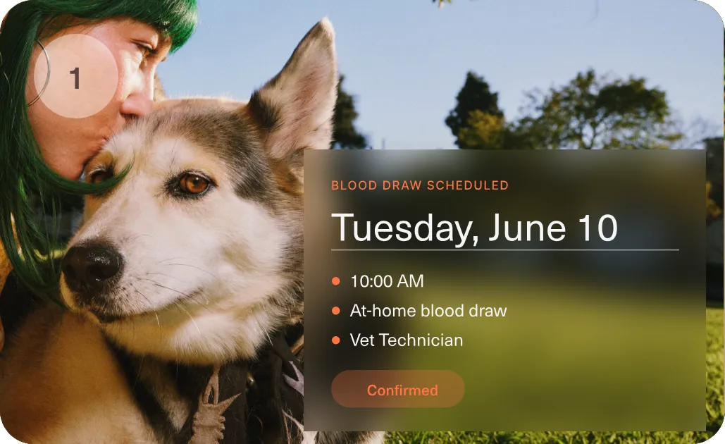 An Omi vet technician visit scheduled for Tuesday, June 10