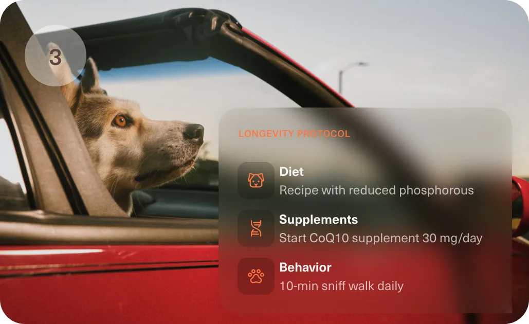 A longevity protocol listing diet, supplement and behaviour changes