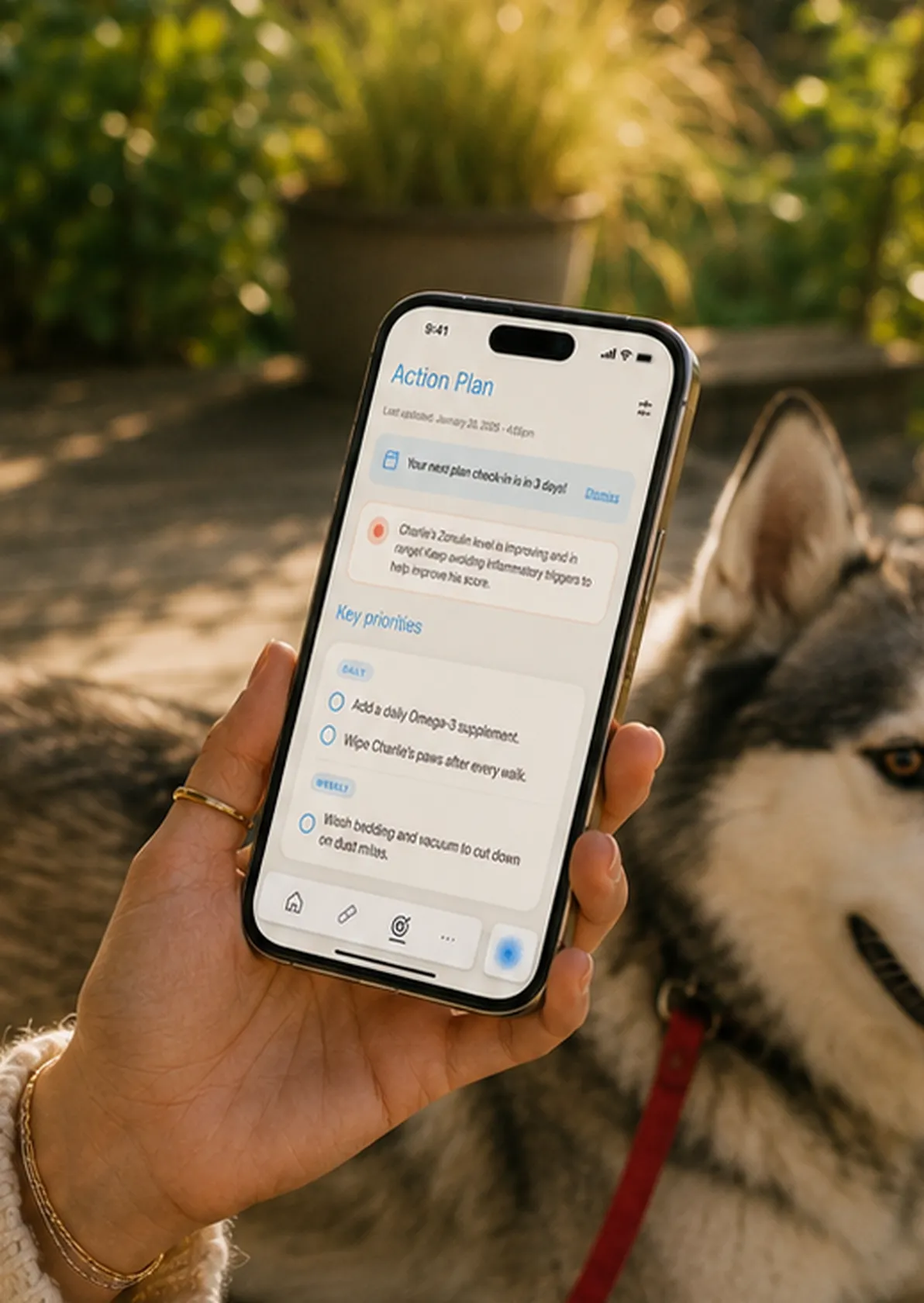 The Omi app showing Charlie's action plan and key priorities