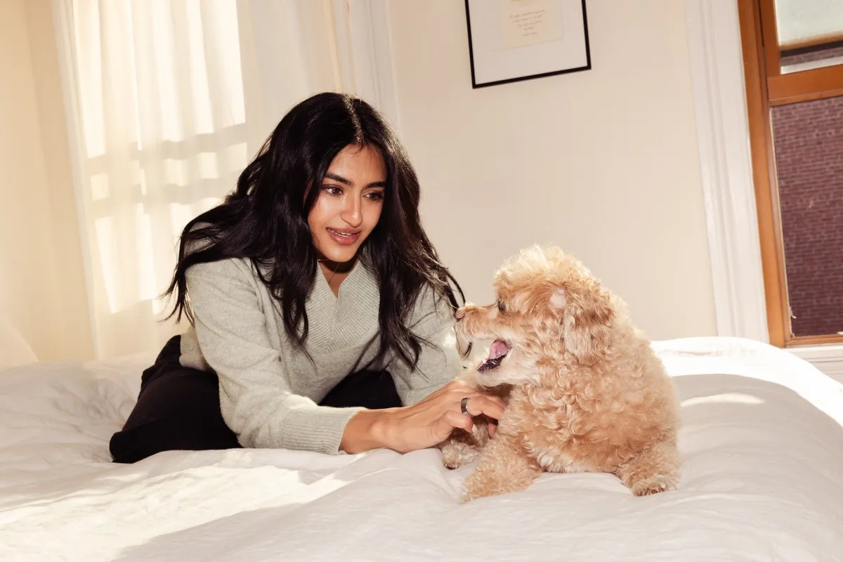 Omi the dog
